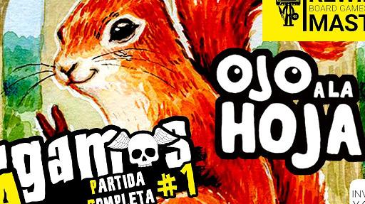 Imagen de reseña: «Jugamos a - "Ojo a la hoja"»