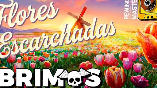 Imagen de reseña: «Abrimos "Flores Escarchadas"»