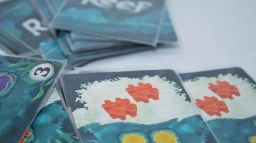 Imagen de reseña: «Reseña "Reef"»