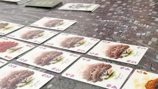 Imagen de reseña: «"Arboretum"»