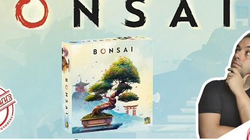 Imagen de reseña: «"Bonsái" Reseña, cómo se juega / tutorial»