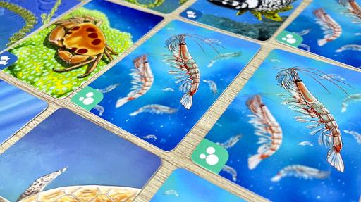Imagen de reseña: «"Ecosystem: Coral Reef"»