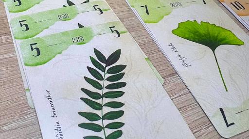 Imagen de reseña: «"13 Plantas"»