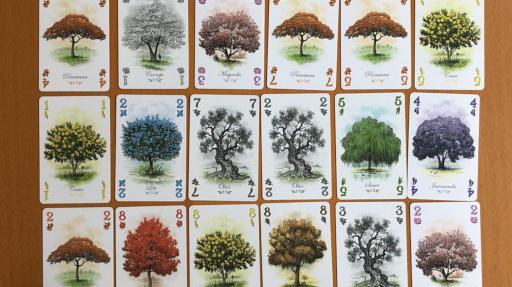 Imagen de reseña: «"Arboretum"»