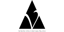 Logotipo de editorial: «Delta Vision Publishing»