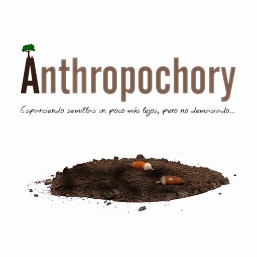 Imagen de juego de mesa: «Anthropochory: el juego de las semillas»