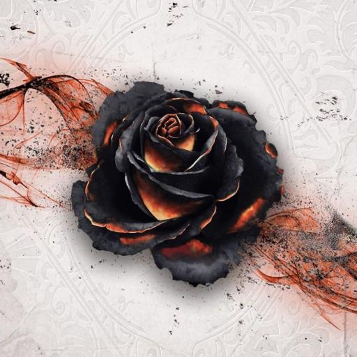 Imagen de juego de mesa: «Black Rose Wars»