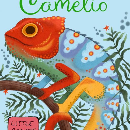 Imagen de juego de mesa: «Camelio»