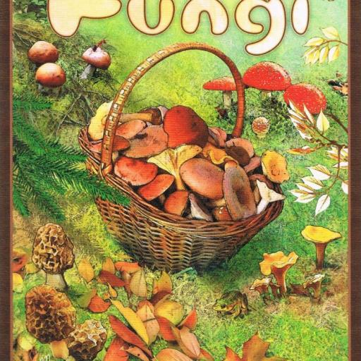 Imagen de juego de mesa: «Fungi»