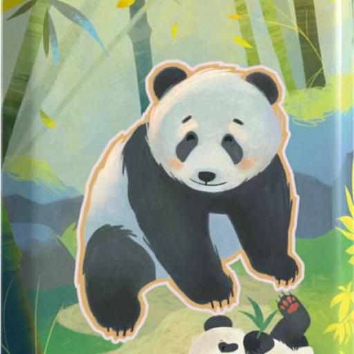 Imagen de juego de mesa: «Harmonies: Tempo»