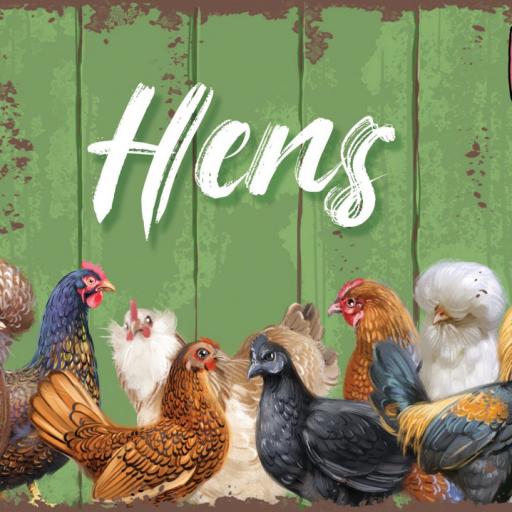 Imagen de juego de mesa: «Hens»