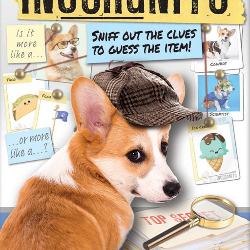 Imagen de juego de mesa: «Incorgnito»