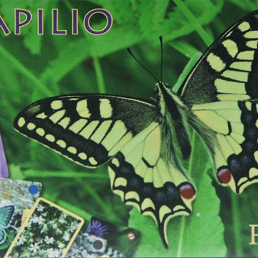 Imagen de juego de mesa: «Papilio»