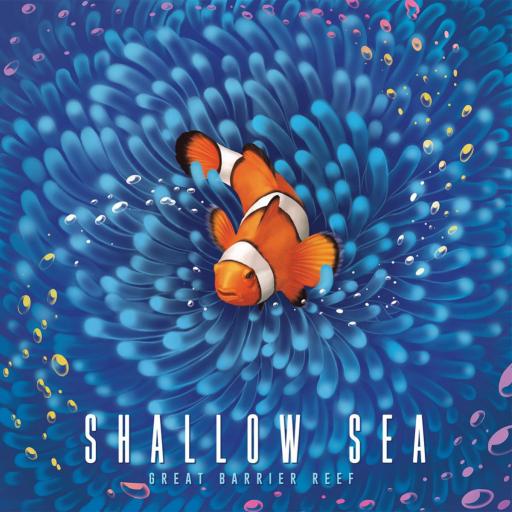 Imagen de juego de mesa: «Shallow Sea»