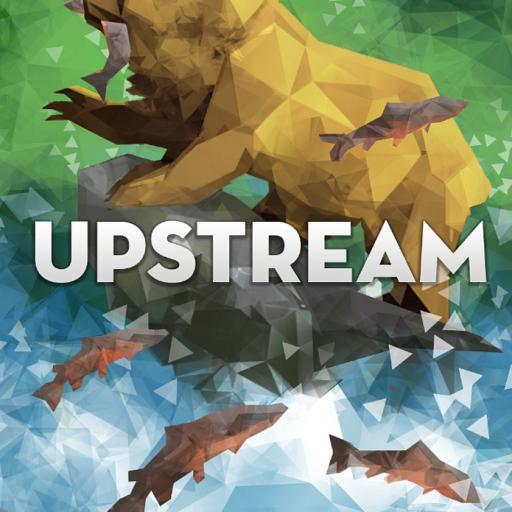Imagen de juego de mesa: «Upstream»