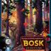 Imagen de juego de mesa: «Bosk»