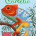 Imagen de juego de mesa: «Camelio»