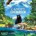 Imagen de juego de mesa: «Canopy: Evergreen»