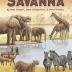 Imagen de juego de mesa: «Ecosystem: Savanna»