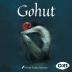 Imagen de juego de mesa: «Gohut»