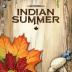 Imagen de juego de mesa: «Indian Summer»