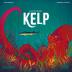 Imagen de juego de mesa: «Kelp: Pulpo vs Tiburón»