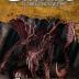 Imagen de juego de mesa: «La llamada de Cthulhu: LCG – Conspiraciones del Caos»