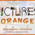 Imagen de juego de mesa: «Pictures Orange»