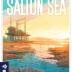 Imagen de juego de mesa: «Salton Sea»