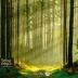 Imagen de juego de mesa: «Selva Negra»