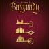 Imagen de juego de mesa: «The Castles of Burgundy»