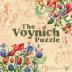 Imagen de juego de mesa: «The Voynich Puzzle»
