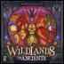 Imagen de juego de mesa: «Wildlands: The Ancients»